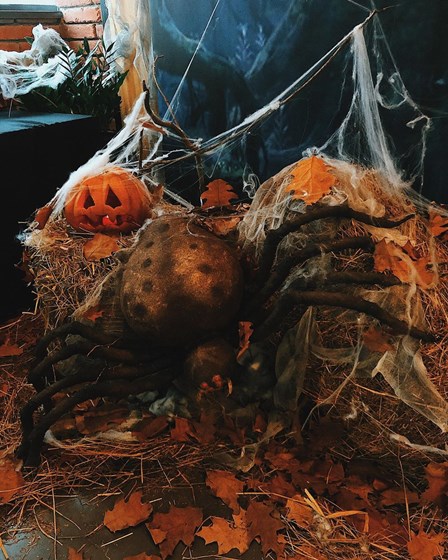 Декорации на заказ:  Halloween