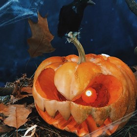 Декорации на заказ:  Halloween