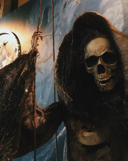 Декорации на заказ:  Halloween